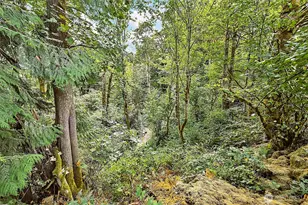 5507 Waller Rd E, Tacoma, WA 98443 - Photo 10