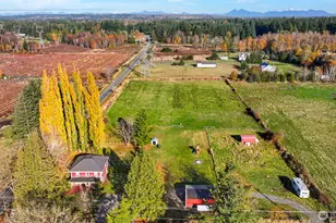 2880 Creasey Rd, Custer, WA 98240 - Photo 40