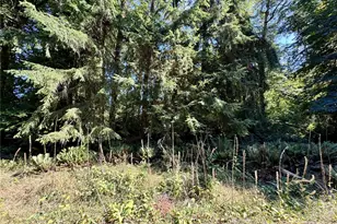 10516 106th St, Anderson Island, WA 98303 - Photo 6