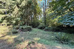 10516 106th St, Anderson Island, WA 98303 - Photo 10