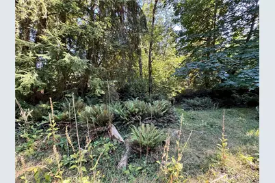10516 106th Street, Anderson Island, WA 98303 - Photo 4