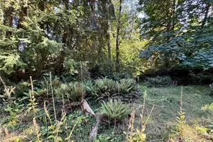 10516 106th St, Anderson Island, WA 98303 - Photo 4