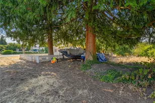 14429 Portland Ave SW, Lakewood, WA 98498 - Photo 14