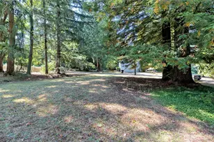 1306 Center St, Shelton, WA 98584 - Photo 40