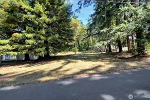 1306 Center St, Shelton, WA 98584 - Photo 38