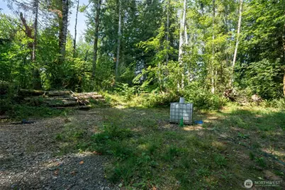 54982 214th Avenue E, Elbe, WA 98330 - Photo 2