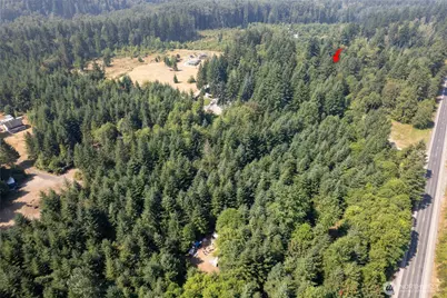 54982 214th Avenue E, Elbe, WA 98330 - Photo 8