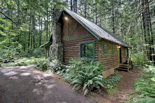 832 N Lake Cushman Rd, Hoodsport, WA 98548 - Photo 4
