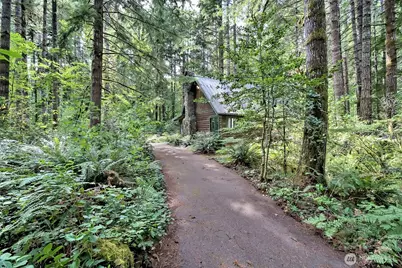 832 N Lake Cushman Road, Hoodsport, WA 98548 - Photo 6