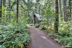 832 N Lake Cushman Rd, Hoodsport, WA 98548 - Photo 6