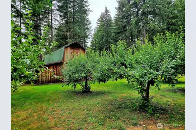 163 Eadon Road, Toledo, WA 98591 - Photo 36