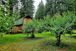 163 Eadon Rd, Toledo, WA 98591 - Photo 36
