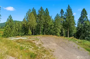4236 Pleasant Hill Rd, Kelso, WA 98626 - Photo 24