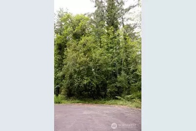 8531 NE Willow Drive, Olympia, WA 98506 - Photo 10