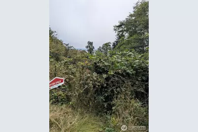 0 Lamontay Lot #6 Place, Ilwaco, WA 98624 - Photo 6