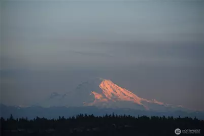 4201 SW 109th, Seattle, WA 98146 - Photo 40