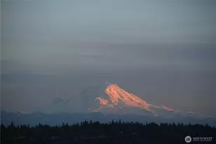 4201 SW 109th, Seattle, WA 98146 - Photo 40