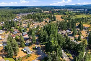 51 E Park Ln, Shelton, WA 98584 - Photo 30