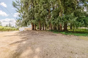 6820 Meridian Rd SE, Olympia, WA 98513 - Photo 28