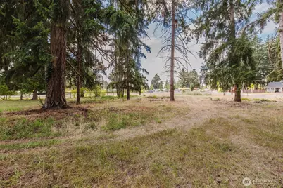 6820 Meridian Road SE, Olympia, WA 98513 - Photo 38