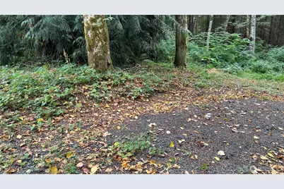 5981 NE Spruce Dr, Hansville, WA 98340 - Photo 1