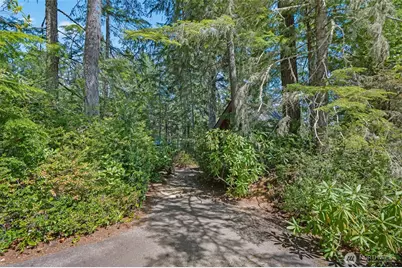 1750 N Colony Surf Drive, Lilliwaup, WA 98555 - Photo 4