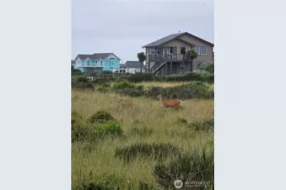 1440 Ocean Crest Avenue SW, Ocean Shores, WA 98569 - Photo 1