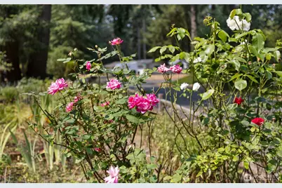 8609 Lake Forest Drive SE, Lacey, WA 98503 - Photo 10