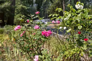 8609 Lake Forest Dr SE, Lacey, WA 98503 - Photo 10