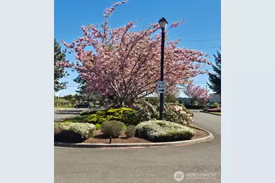 530 Evergreen Farm Way, Sequim, WA 98382 - Photo 22
