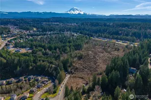 0 Rhodes Lake Road E, Bonney Lake, WA 98391 - Photo 1