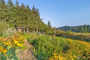 14 Fieldstone Rd, Friday Harbor, WA 98250 - Photo 12