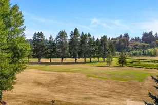 12134 Scott Creek Loop, Olympia, WA 98512 - Photo 34