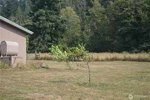 209 Waterloo Rd, Glenoma, WA 98336 - Photo 14