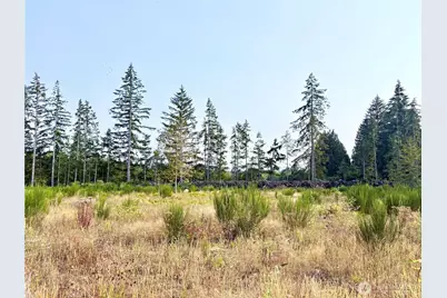 320 E Lonesome Creek Road, Shelton, WA 98584 - Photo 30