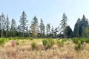 320 E Lonesome Creek Rd, Shelton, WA 98584 - Photo 30