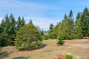 682 Fox Hollow Rd, Sequim, WA 98382 - Photo 28