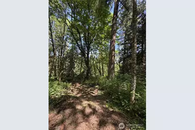 0 Squalicum Mountain Road, Bellingham, WA 98226 - Photo 4
