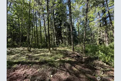 0 Squalicum Mountain Road, Bellingham, WA 98226 - Photo 6
