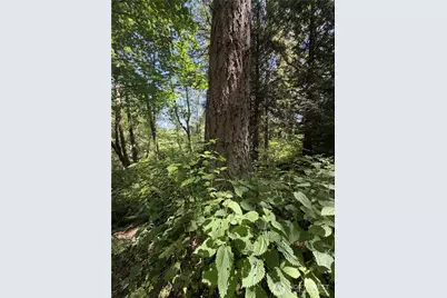 0 Squalicum Mountain Road, Bellingham, WA 98226 - Photo 8