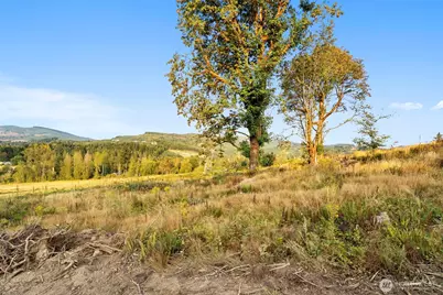 391 Brook Valley Road, Kelso, WA 98626 - Photo 14