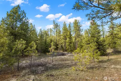 672 Forest Ridge Dr., Cle Elum, WA 98922 - Photo 6