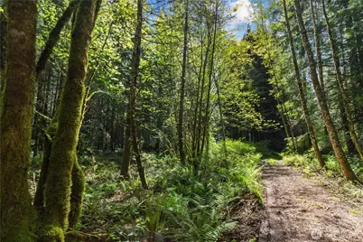 27525 W Lake Riley Road, Arlington, WA 98223 - Photo 34