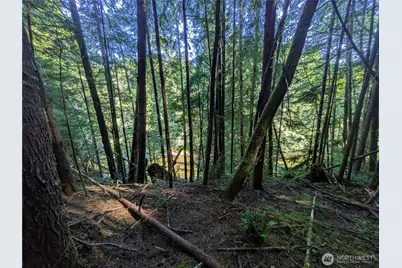 0 Lot 8 Riverbend Road, Forks, WA 98331 - Photo 26
