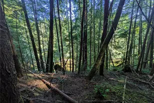 0 Lot 8 Riverbend Rd, Forks, WA 98331 - Photo 26