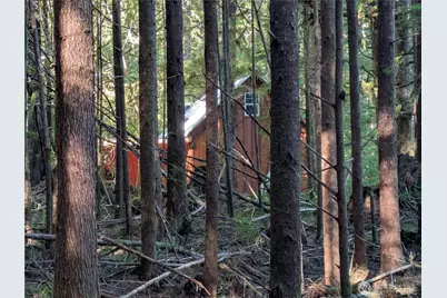 0 Lot 8 Riverbend Road, Forks, WA 98331 - Photo 28