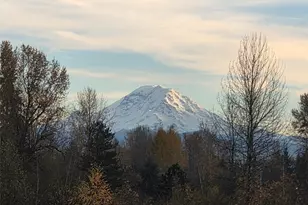 12535 SE Kent-Kangley Rd, Kent, WA 98030 - Photo 4