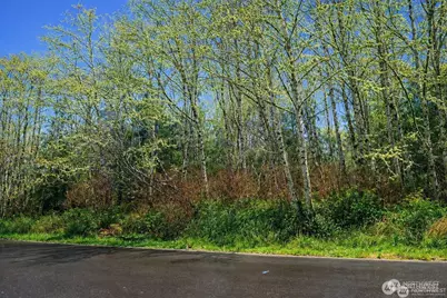 821 Duck Lake Drive NE, Ocean Shores, WA 89569 - Photo 1