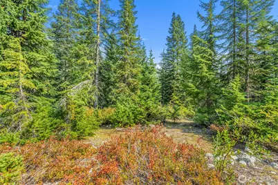 34374 N Nason Road, Leavenworth, WA 98826 - Photo 22