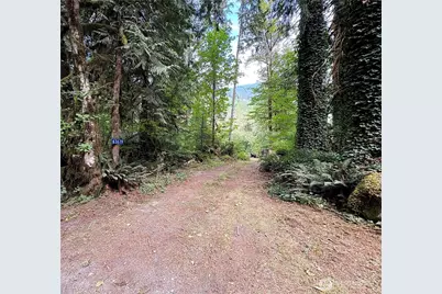 63679 Marblemount Way, Marblemount, WA 98267 - Photo 4